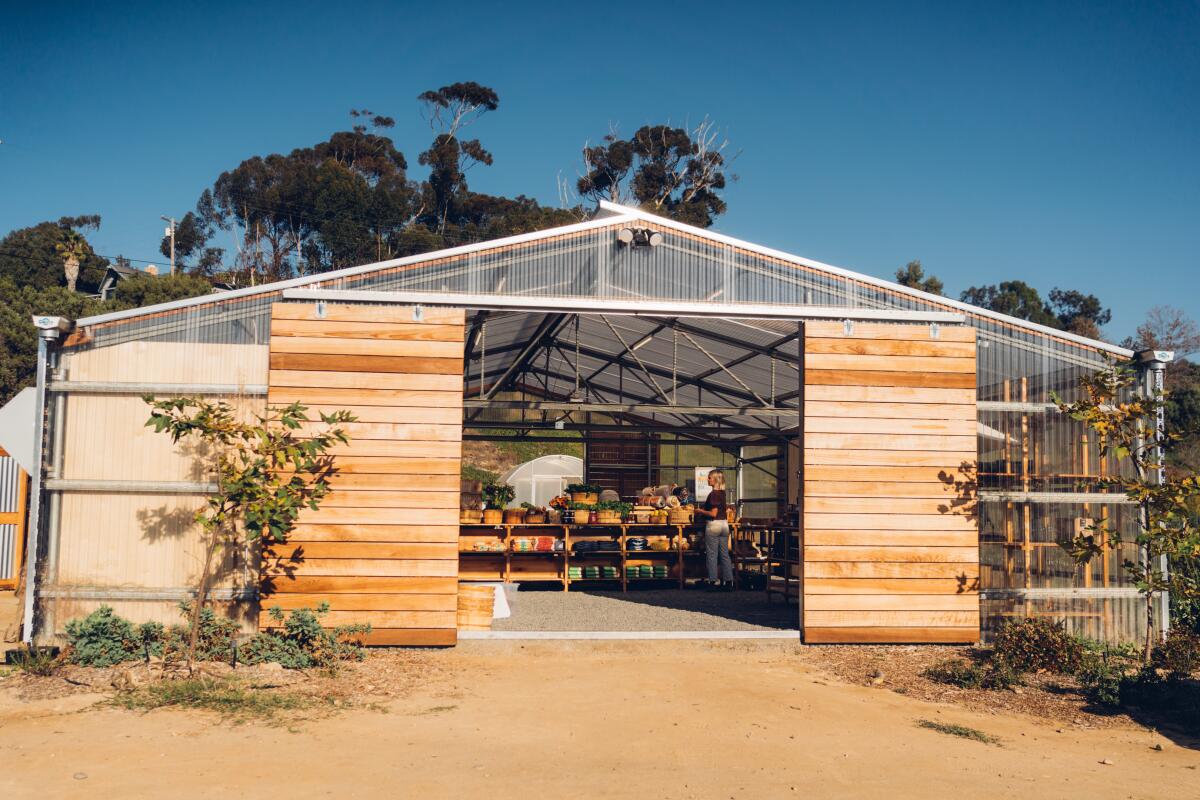 The barn and farm stand