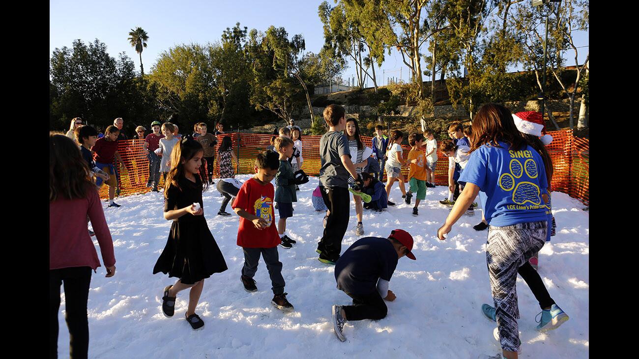 Photo Gallery: Annual Festival in Lights at Memorial Park