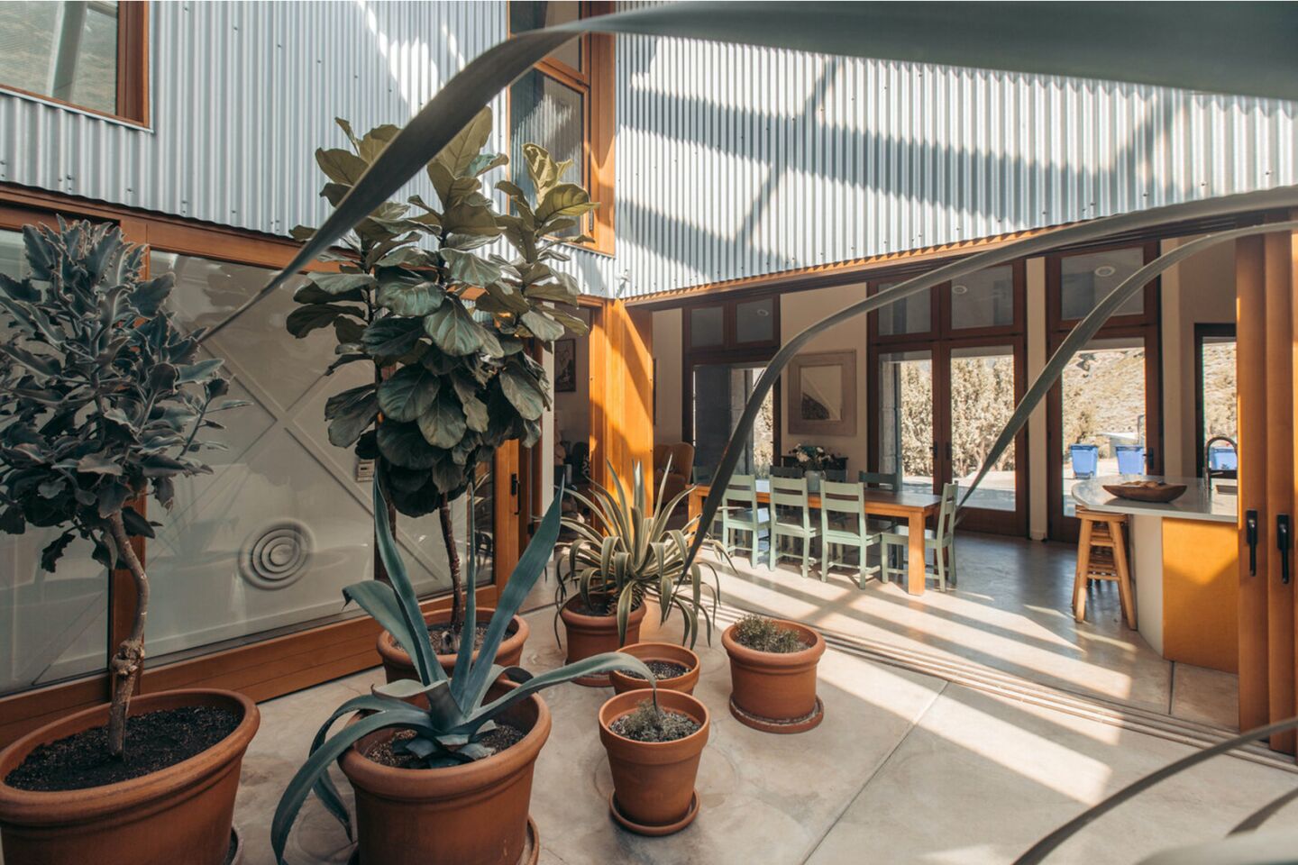 Potted trees and other houseplants in an atrium with corrugated steel and an opening to a kitchen area.