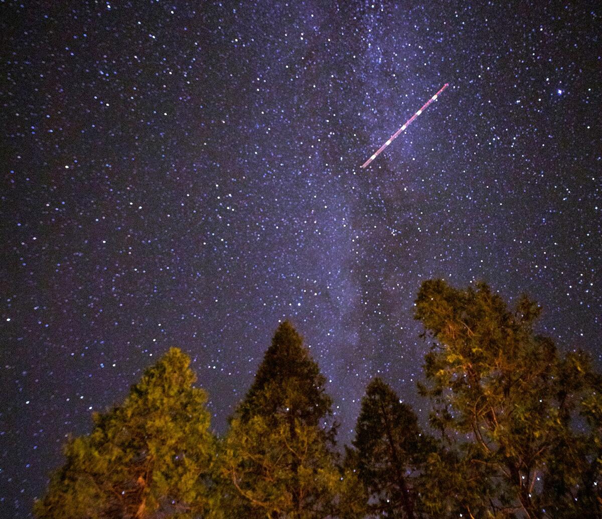  A view of bright stars and a streak in the sky. In the foreground are evergreen trees.