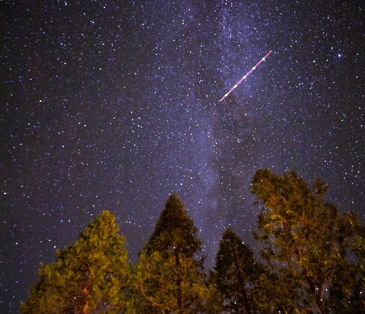 A view of bright stars and a streak in the sky. In the foreground are evergreen trees.