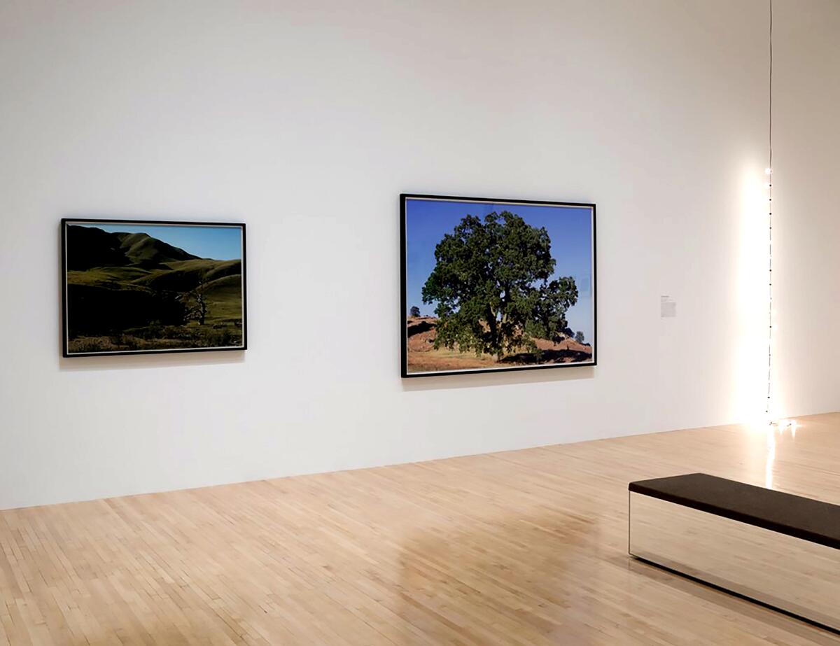 Two lush landscape photographs on a museum wall near a bench