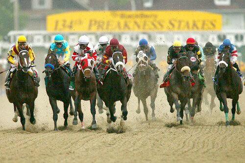 Preakness Stakes first turn