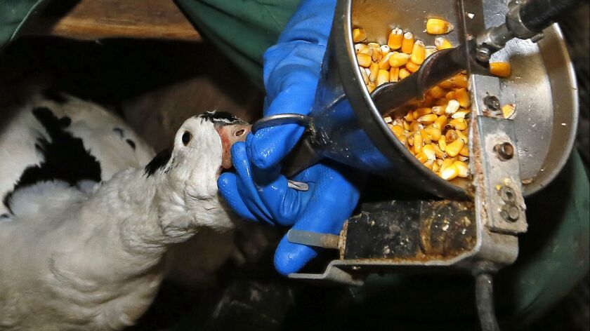 California in 2004 passed a law banning foie gras produced by force-feeding birds.
