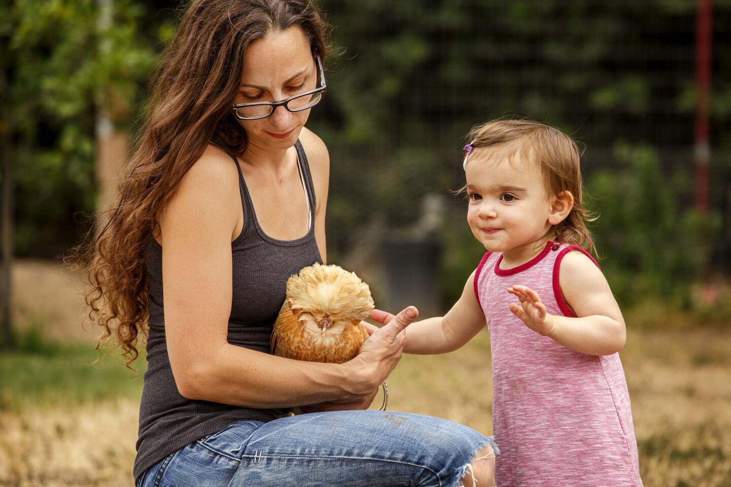 Dominique Salamone, left, and daughter Glory, 1, pet a rooster in their Northridge backyard.