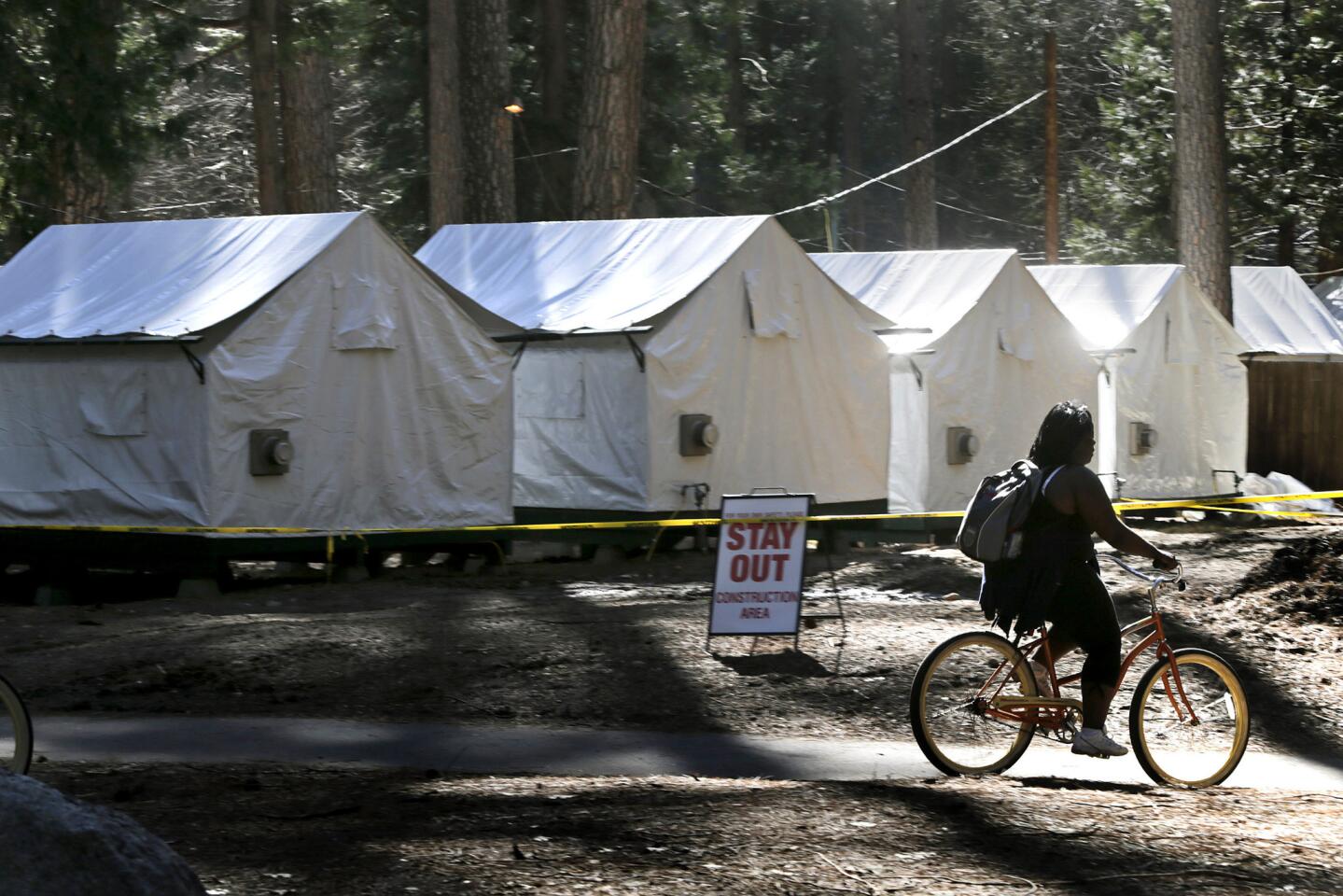 Fighting a rare virus in Yosemite