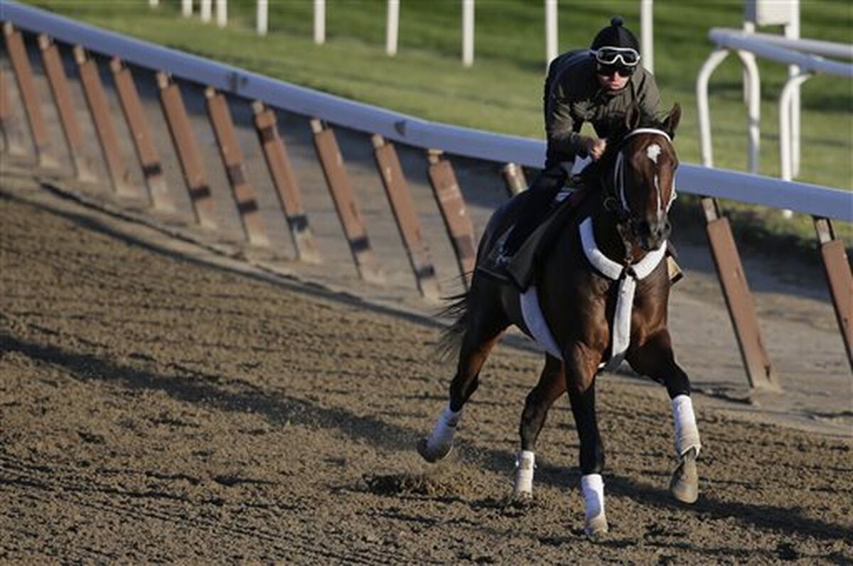 Commanding Curve gallops around the track at Belmont Park on June 6, 2014 ahead of the Belmont Stakes.