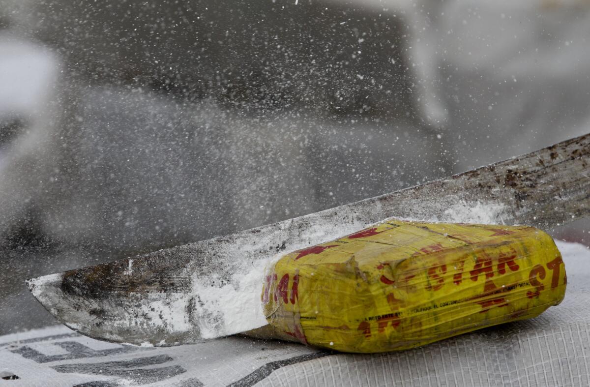 Chronic cocaine use skews the brain's reward-related error management, according to a new study. Here, an anti-narcotics agent in Panama hacks open a package of confiscated cocaine.