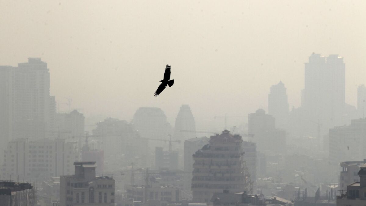 The skyline of Tehran is blurred by pollution in January 2013.