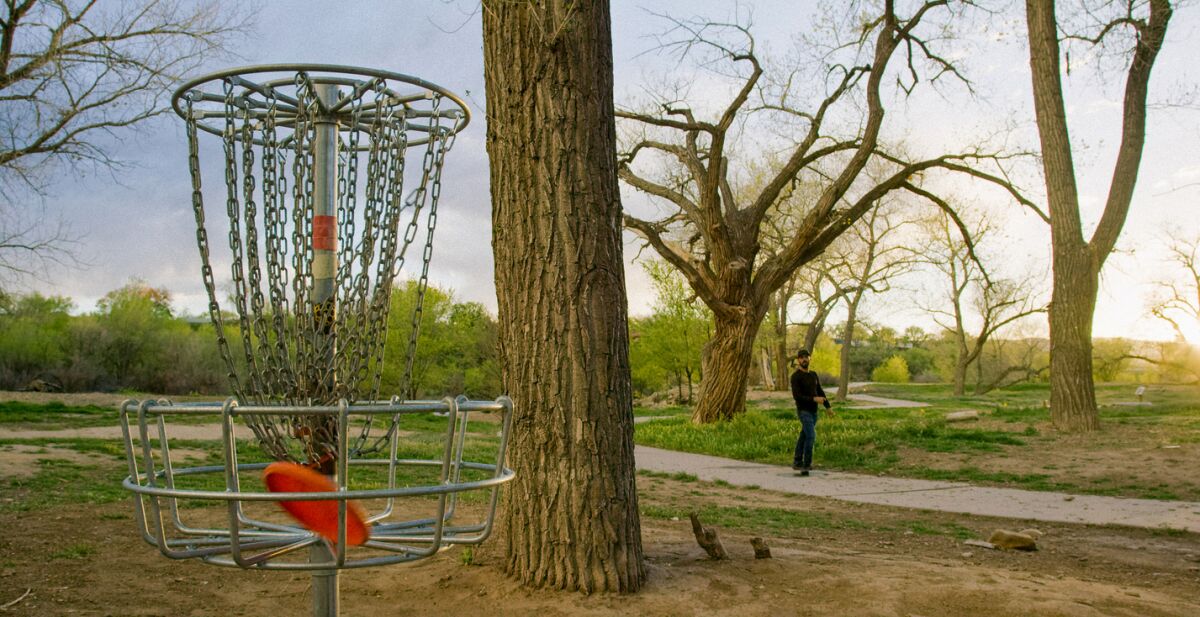 A stock photo of disc golf
