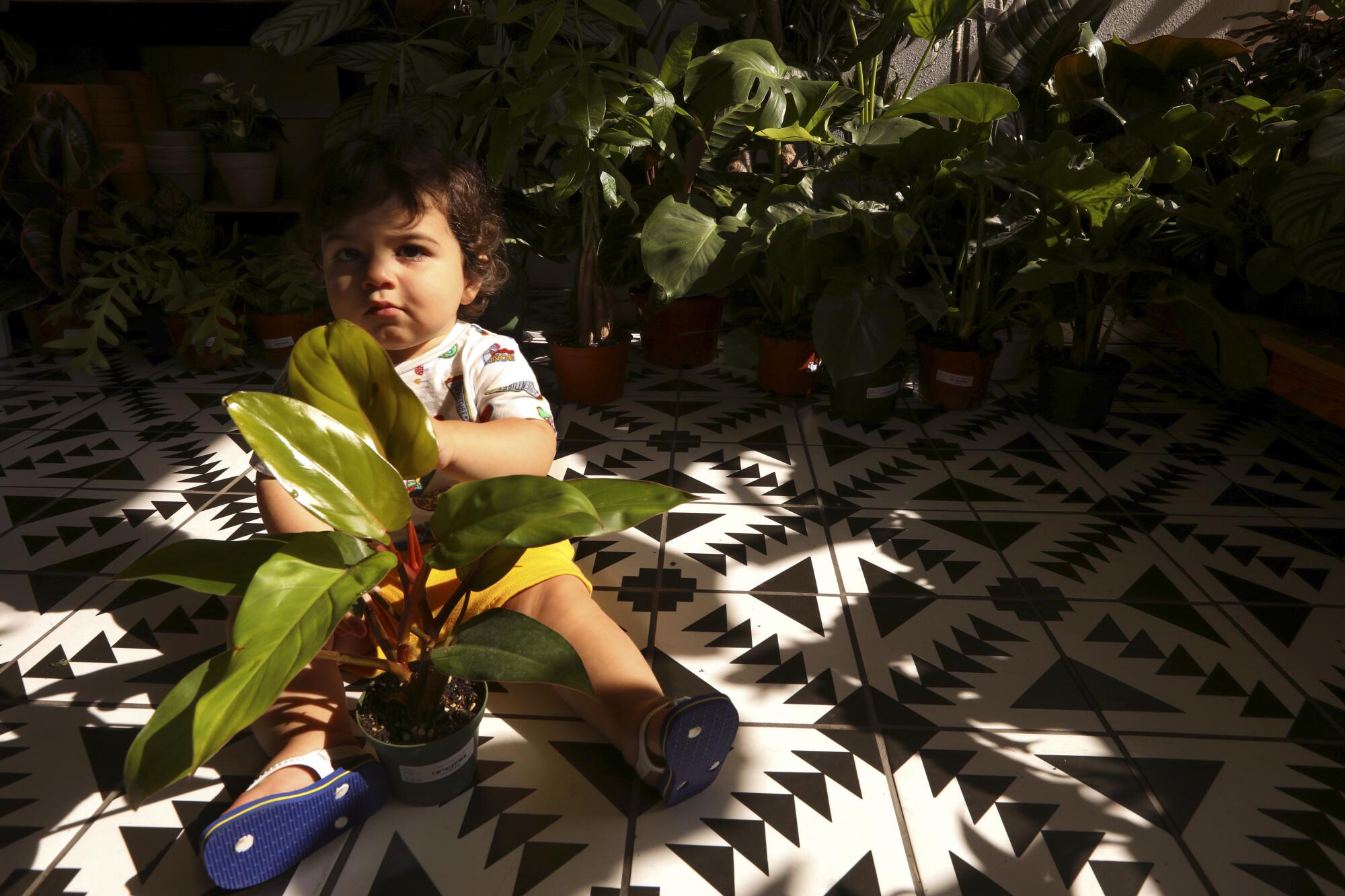 One-year-old Kylo Bazik sits on the floor of his parents' shop with a plant.