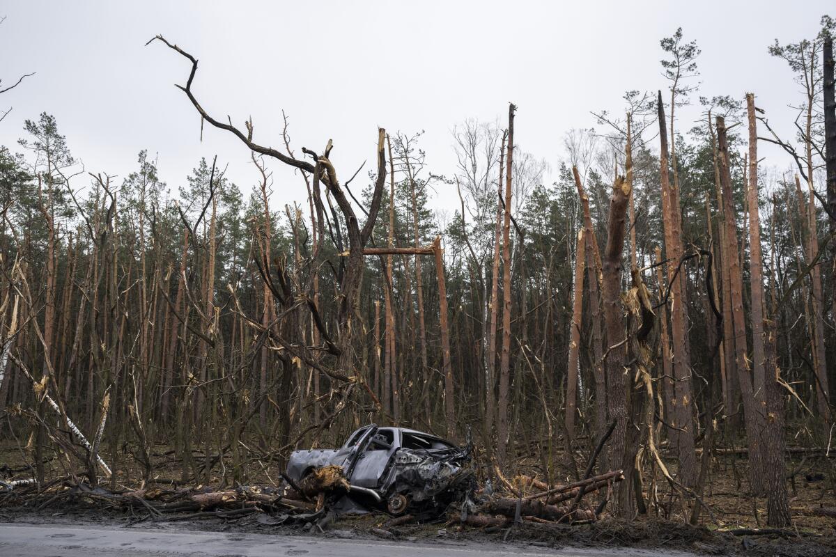A gutted car in front of damaged trees 