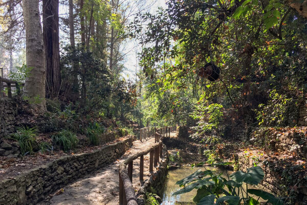 Fern Dell is a lovely, shaded entrance to Griffith Park