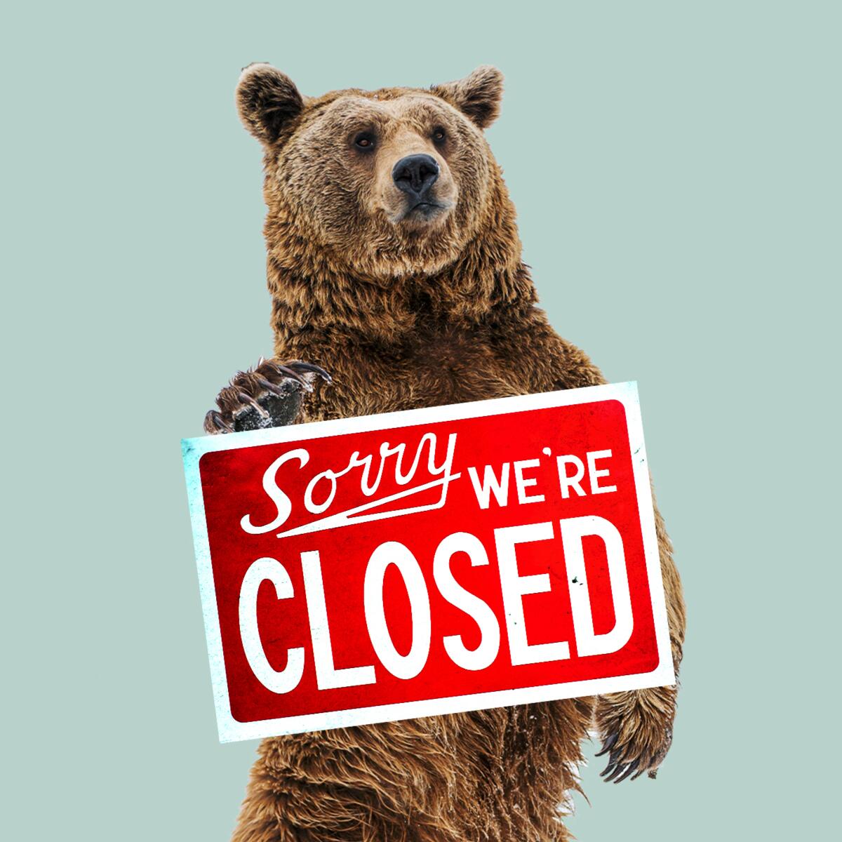 A bear stands behind a sign that says "Sorry we're closed."