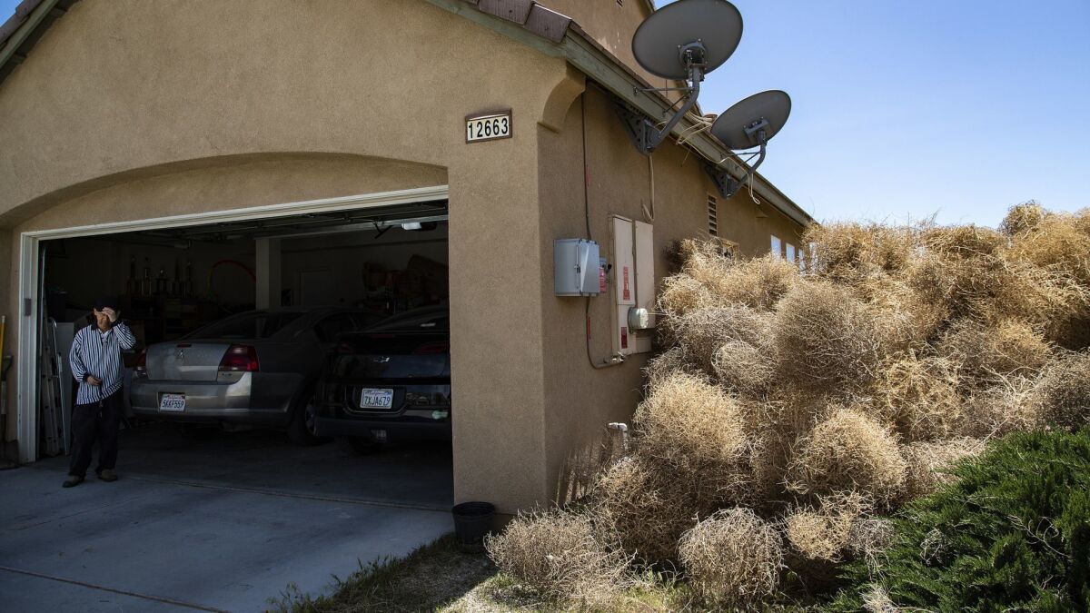 Tumbleweeds fill the side yard of James Reyes' home in Victorville.