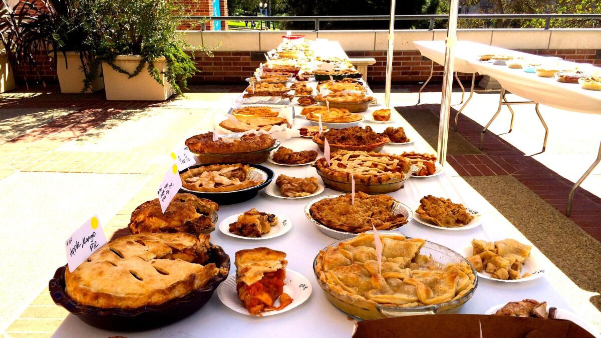 Just a few of the almost 400 pies entered in the KCRW Good Food Pie Contest.