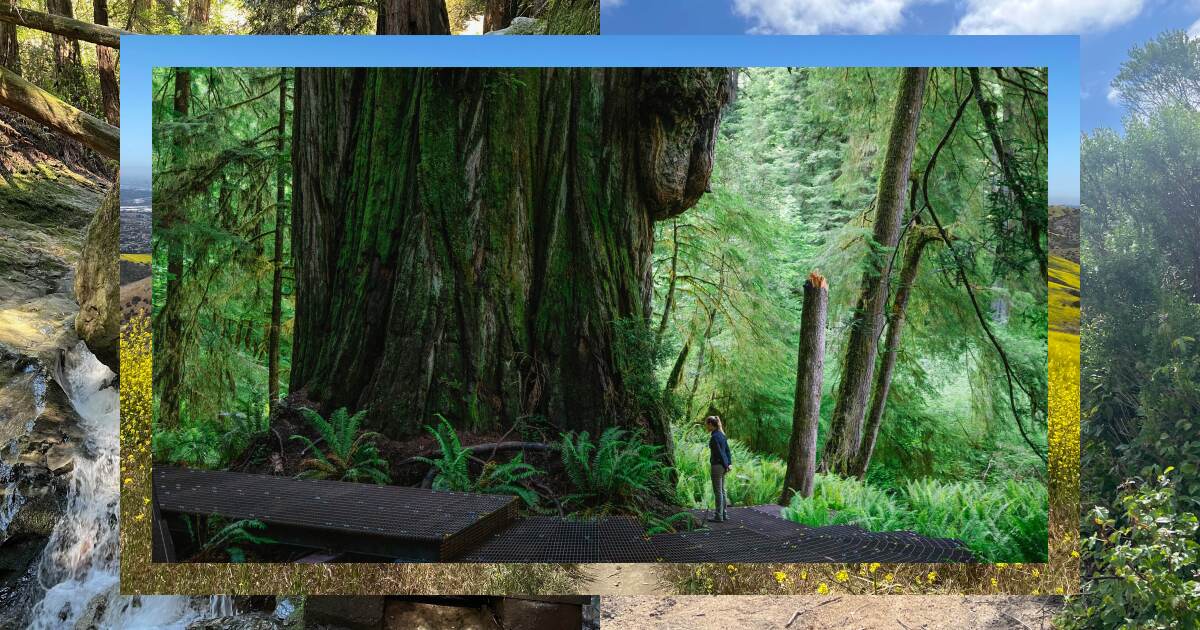 10 caminhadas verdadeiramente excelentes nos parques estaduais da Califórnia