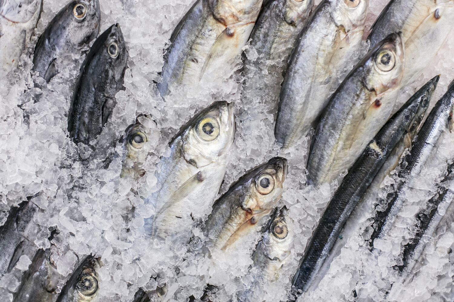 Op-Ed: How Americans can get more safe, sustainable seafood on their plates