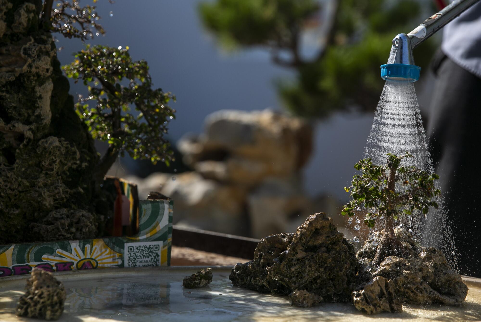 A miniature model landscape at the Huntington gets a little rain shower.