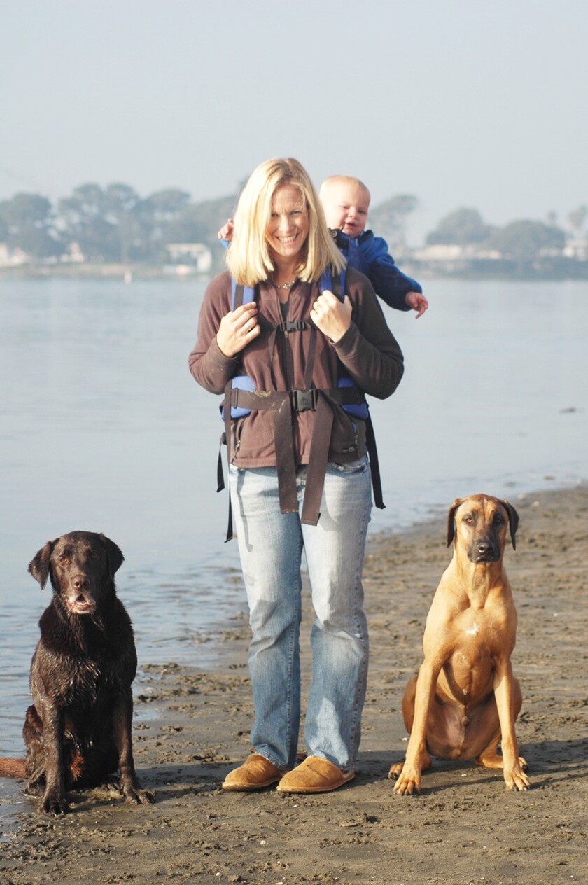It becomes a family hike when Kate Zimmer and her son, Will, go out with Levi (a Labrador) and Kobi (a Rodesian ridgeback).