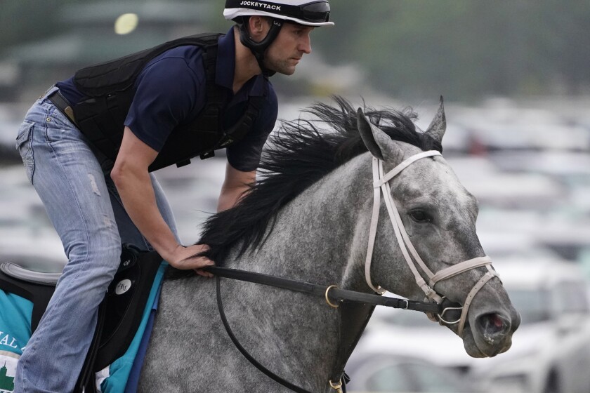 Essential Quality trains the day before the 153rd running of the Belmont Stakes horse race in Elmont, N.Y., Friday, June 4, 2021. (AP Photo/Seth Wenig)