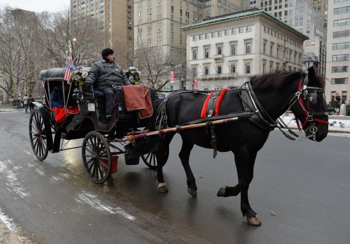 A horse-drawn carriage is ridden near Central Park on Thursday in New York. New York City Mayor Bill de Blasio has announced he would like the city council to outlaw the horse-drawn carriages in Manhattan, calling the practice inhumane.