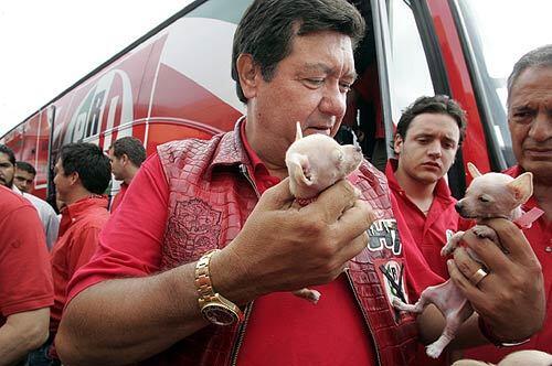 Jorge Hank Rhon, who is running for governor of Baja California, has closed the gap with his opponents by forging a link to the poor. On the trail, the gambling tycoon frequently dispenses gifts. Here, he is on the receiving end, holding Chihuahua puppies after stepping off his campaign bus.