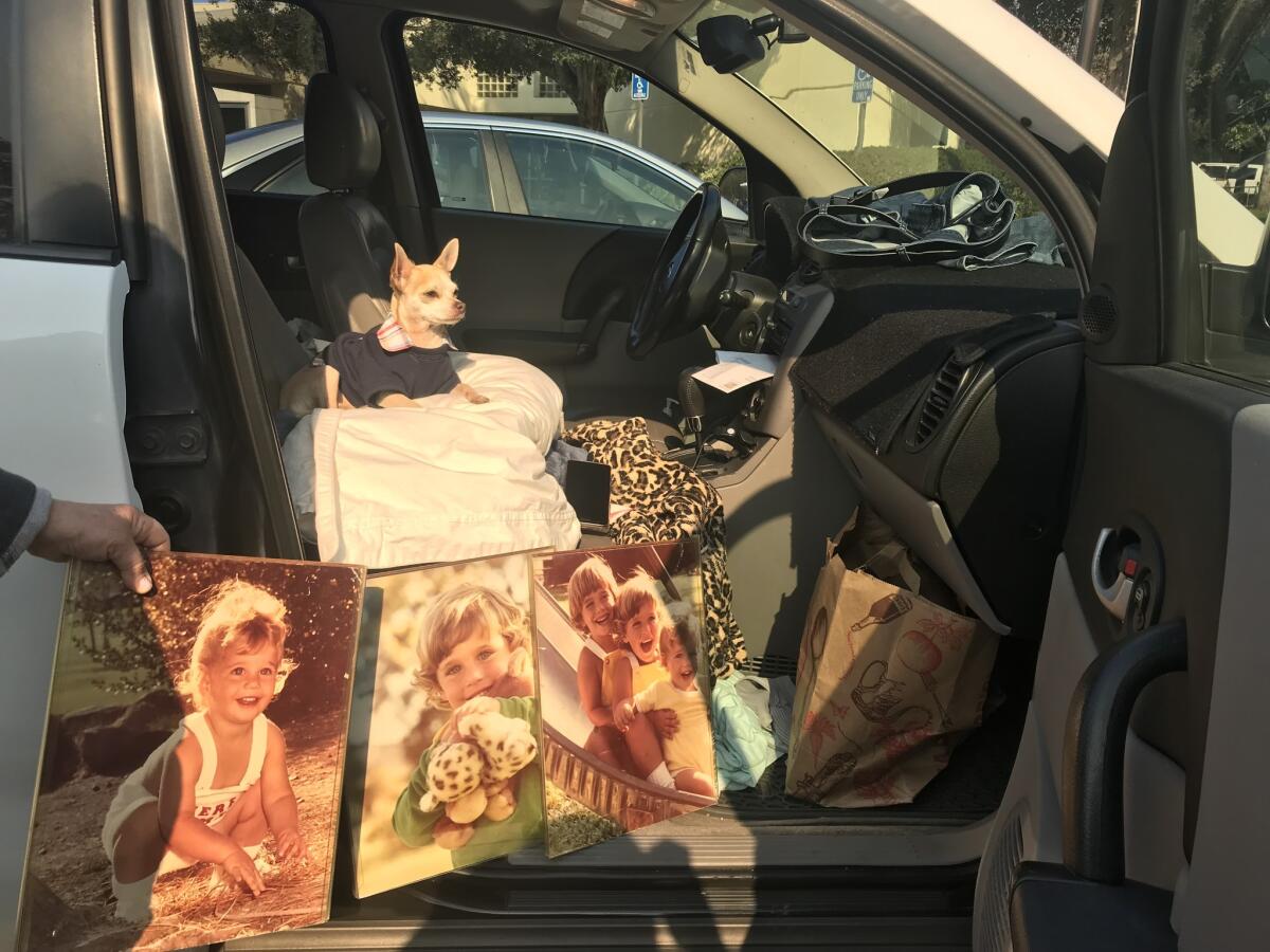 Joey the Chihuahua sits in Judy Gooman's SUV along with her belongings.