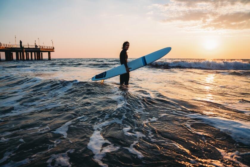 Portrait of a man with his surfboard standing in the sea. He's looking at camera. Sunset time.