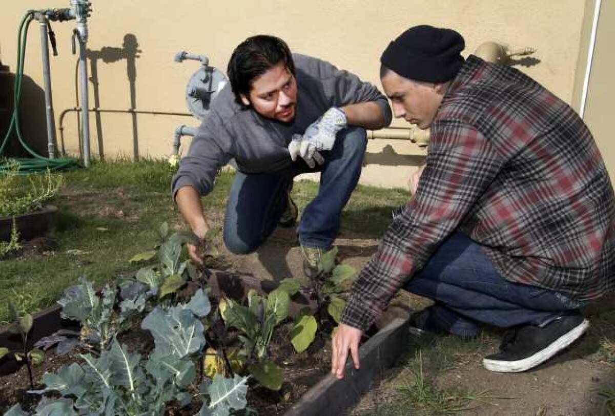 Ray Garcia gives gardening tips to high school student Max Marrone.