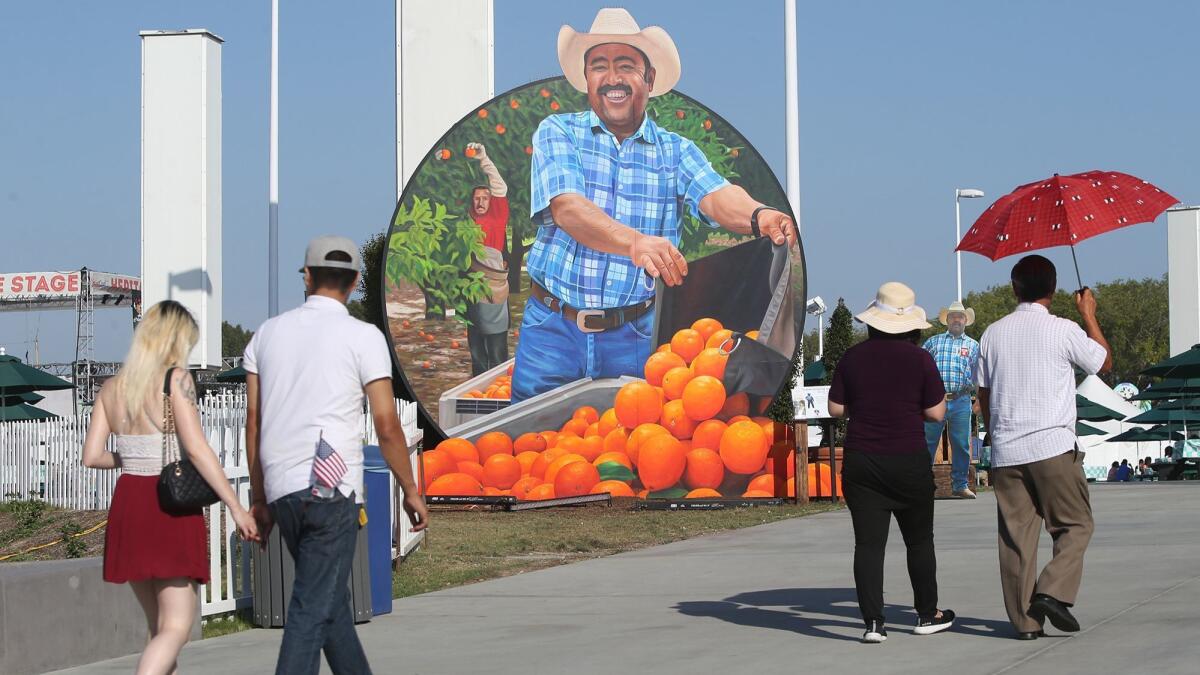 The face of Neff Farm manager Martin Almanza greets visitors as part of the Bounty of the County series painted by Salinas artist John Cerney.
