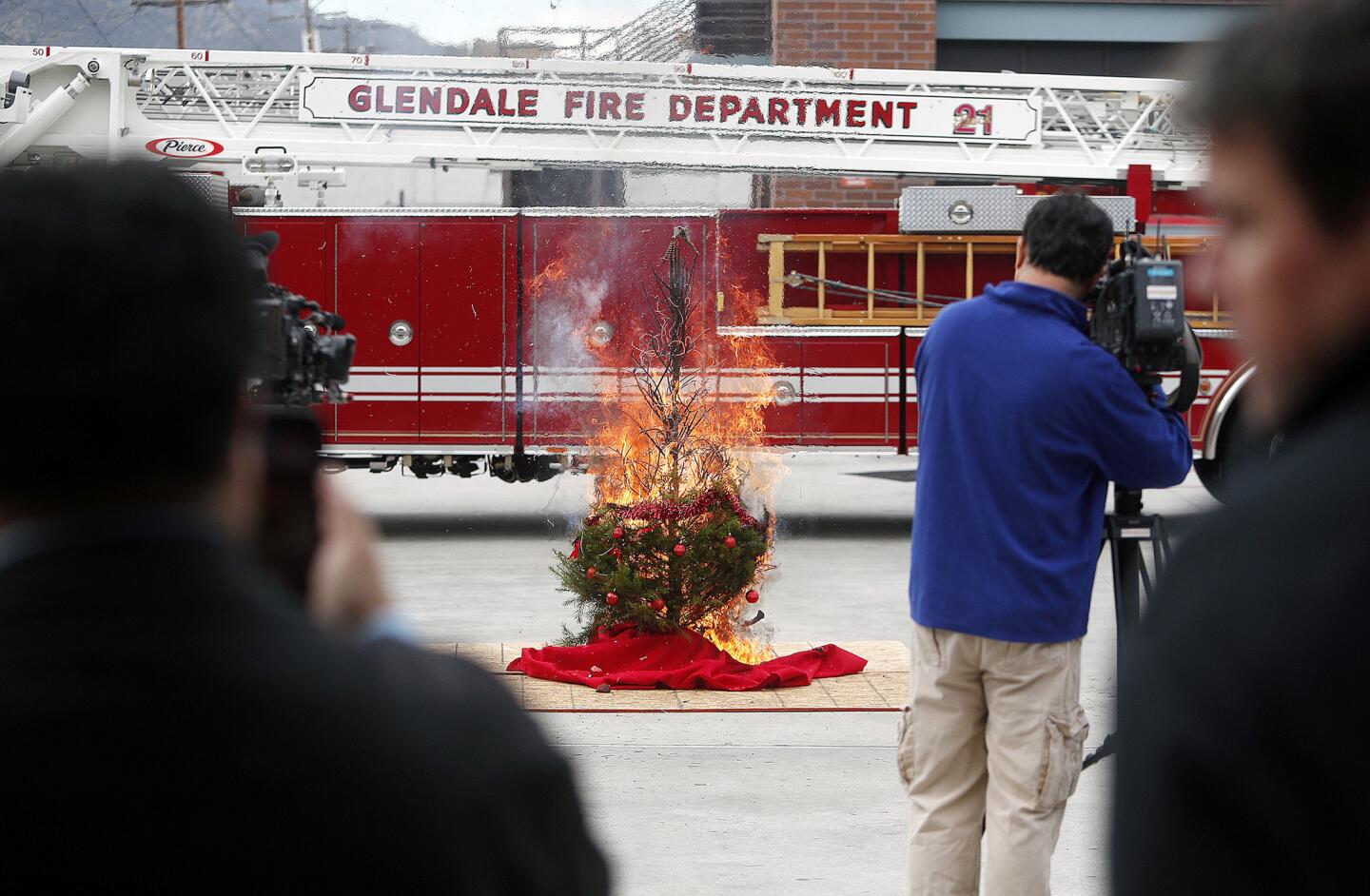 Media make video of a burning Christmas tree at Glendale Fire Station 21 on Monday, December 10, 2018. The media event, put together by The Glendale Fire Department and California Poison Control, is to illustrate potential life-threatening hazards lurking around the holidays, including Christmas trees that are not sufficiently watered which become explosive and tremendously dangerous.