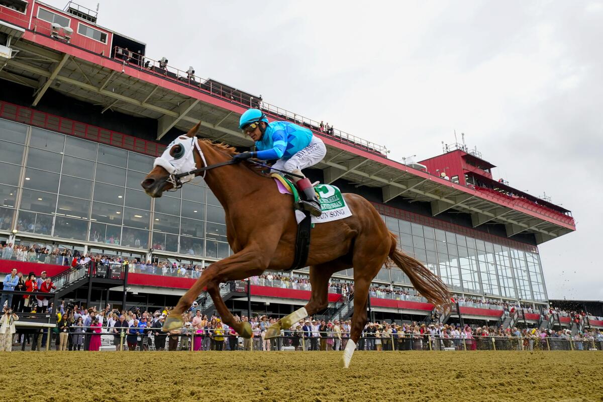 John Velazquez, atop Gun Song, wins the Black-Eyed Susan horse race at Pimlico Race Course Friday.