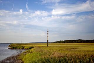 FILE - A utility pole stands in the middle of a marsh at sunset on Sapelo Island, Ga., a Gullah-Geechee community, May 16, 2013. Residents of one of the South's last Gullah-Geechee communities of Black slave descendants submitted signatures Tuesday, July 9, 2024 for a referendum that would reverse zoning changes that they say could force them to sell their land. (AP Photo/David Goldman, File)