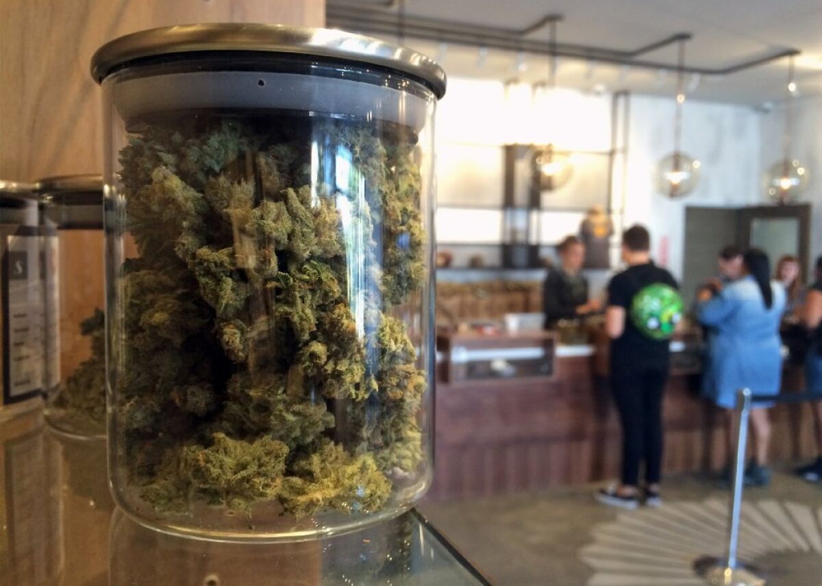 Patients shop at the Harvest medical marijuana dispensary in San Francisco. Thousands of people were expected to converge on San Francisco's Golden Gate Park on Wednesday for the annual 4/20 marijuana holiday.