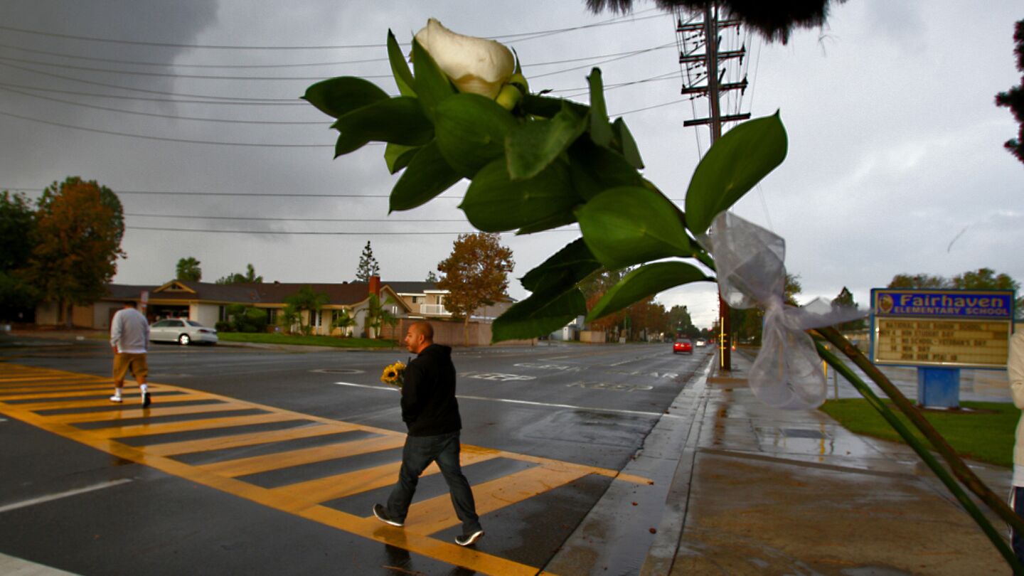 A flower left at the crosswalk where three 13-year-old girls, two of whom were twins, were killed by a hit-and-run driver Friday evening while they were trick-or-treating in Santa Ana.
