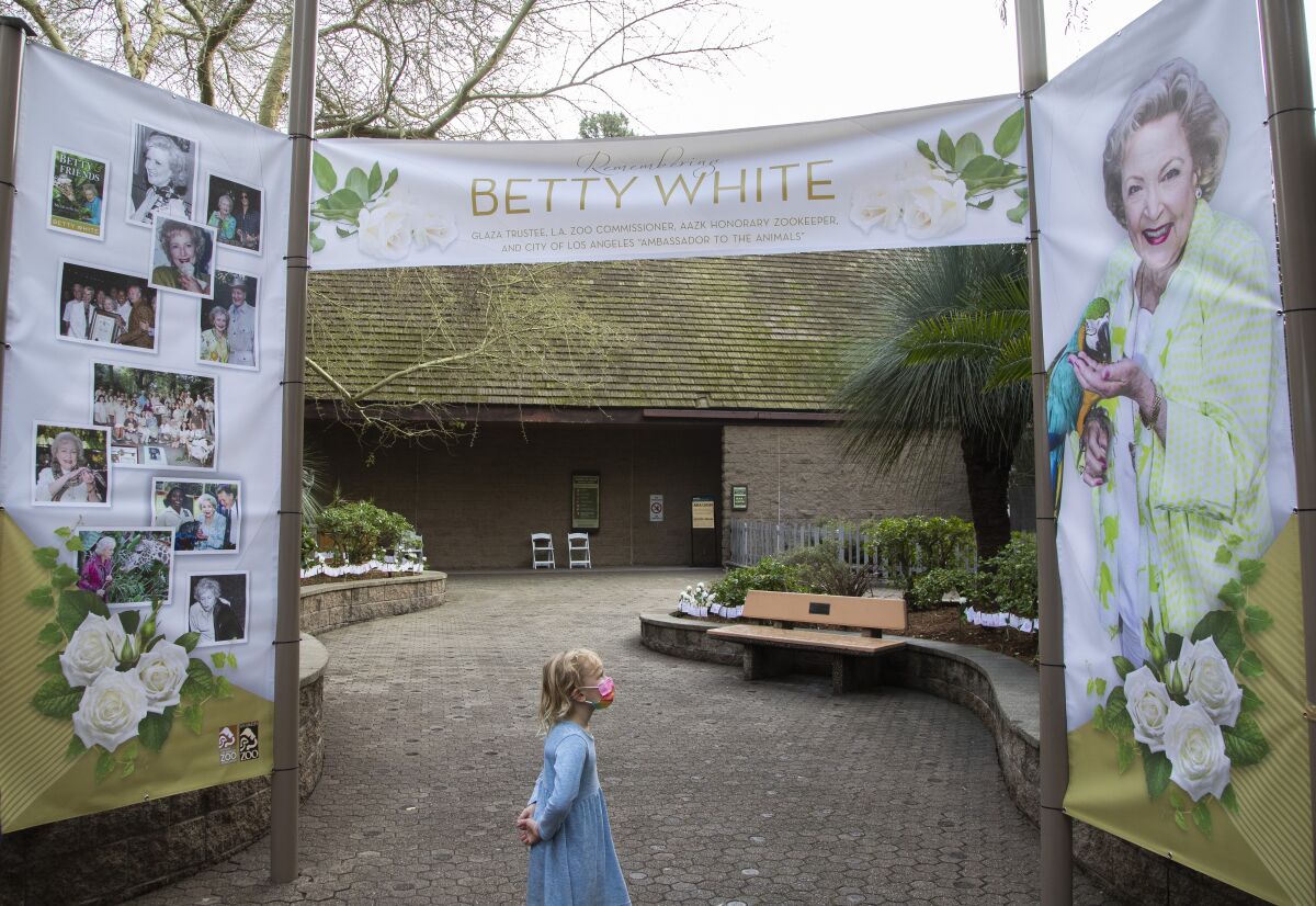A young girl looks at a banner
