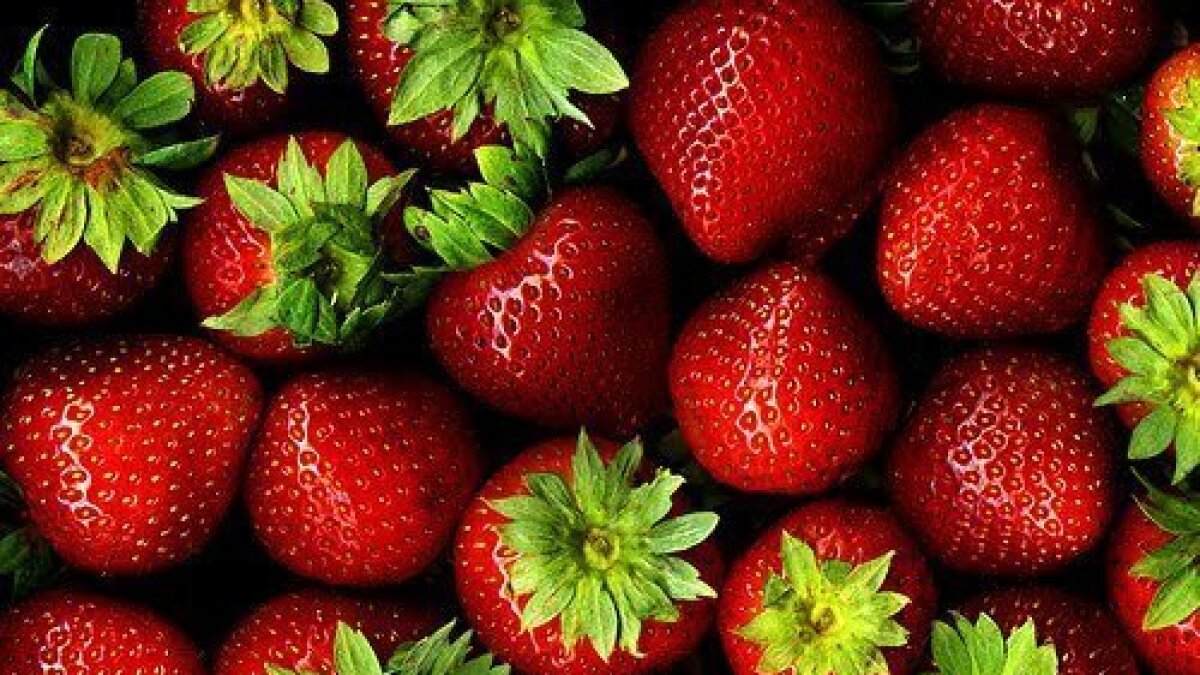 Strawberries Can Reduce Kidney Failure In Diabetics The San Diego Union Tribune