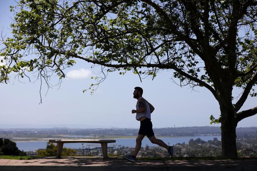 A runner jogs along the sidewalk at Kate Sessions Park in Pacific Beach on April 21, 2020. Most San Diego parks and trails that were closed due to Covid-19 were reopened to the public Tuesday.