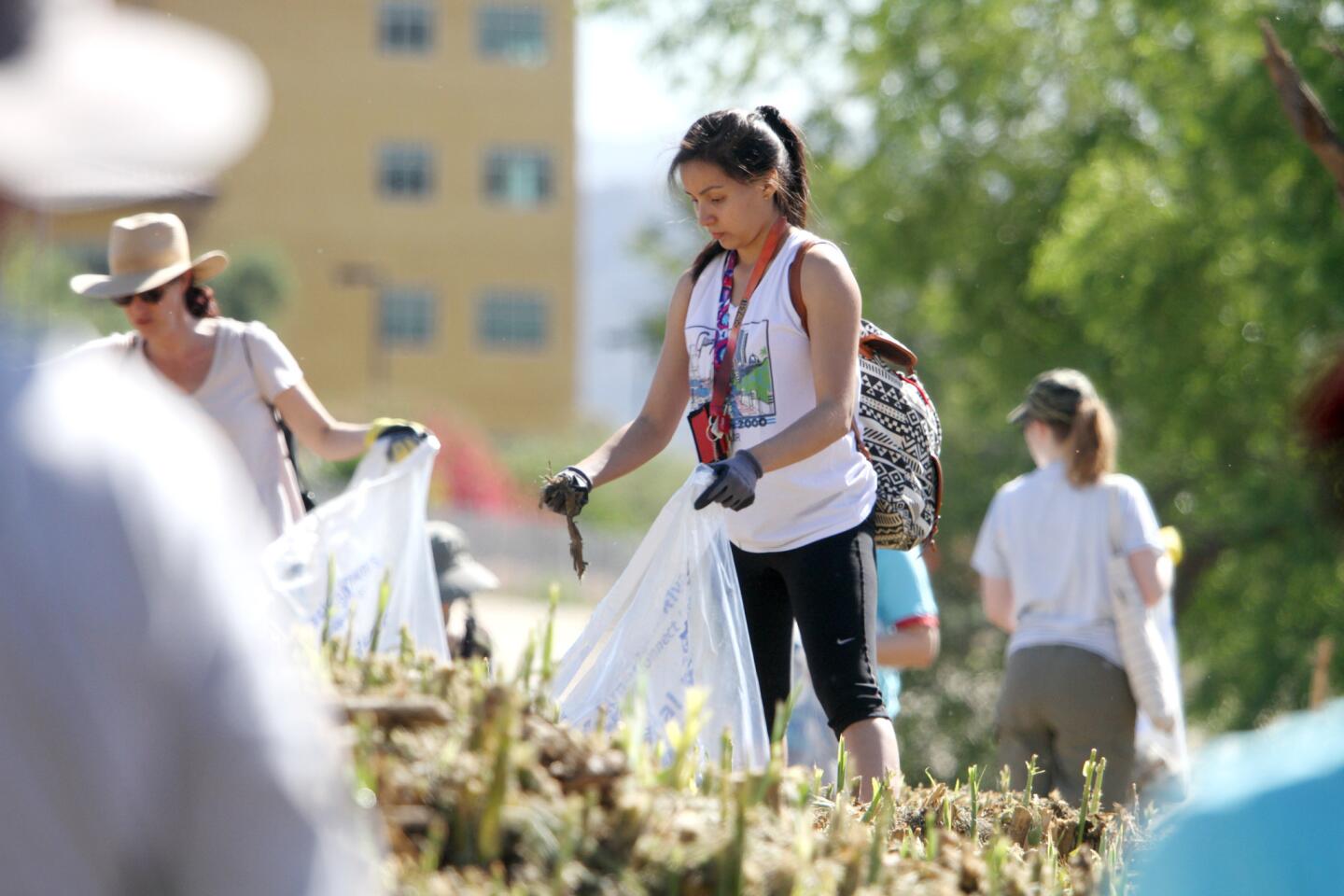 Photo Gallery: Friends of The L.A. River clean up mounds of trash at Glendale Narrows Riverwalk
