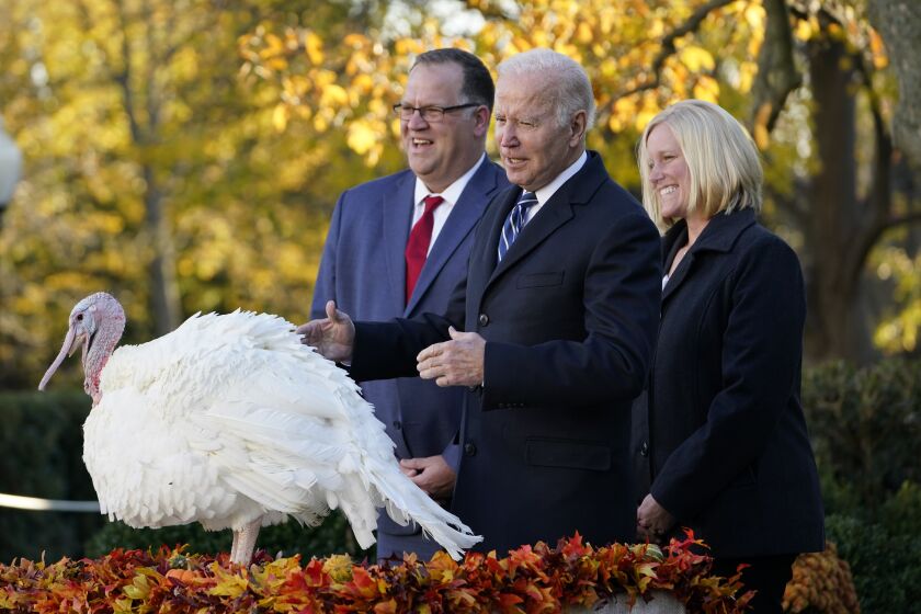 President Joe Biden pardons Peanut Butter, the national Thanksgiving turkey, in the Rose Garden of the White House in Washington, Friday, Nov. 19, 2021. Phil Seger, chairman of the National Turkey Federation and Andrea Welp, turkey grower from Indiana stand with Biden. (AP Photo/Susan Walsh)