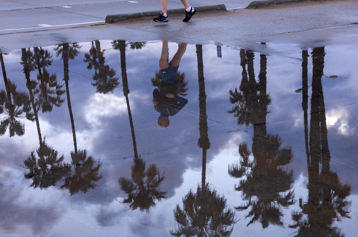 A jogger and palm trees are reflected in a pool of standing rain along the beach path in Santa Monica.