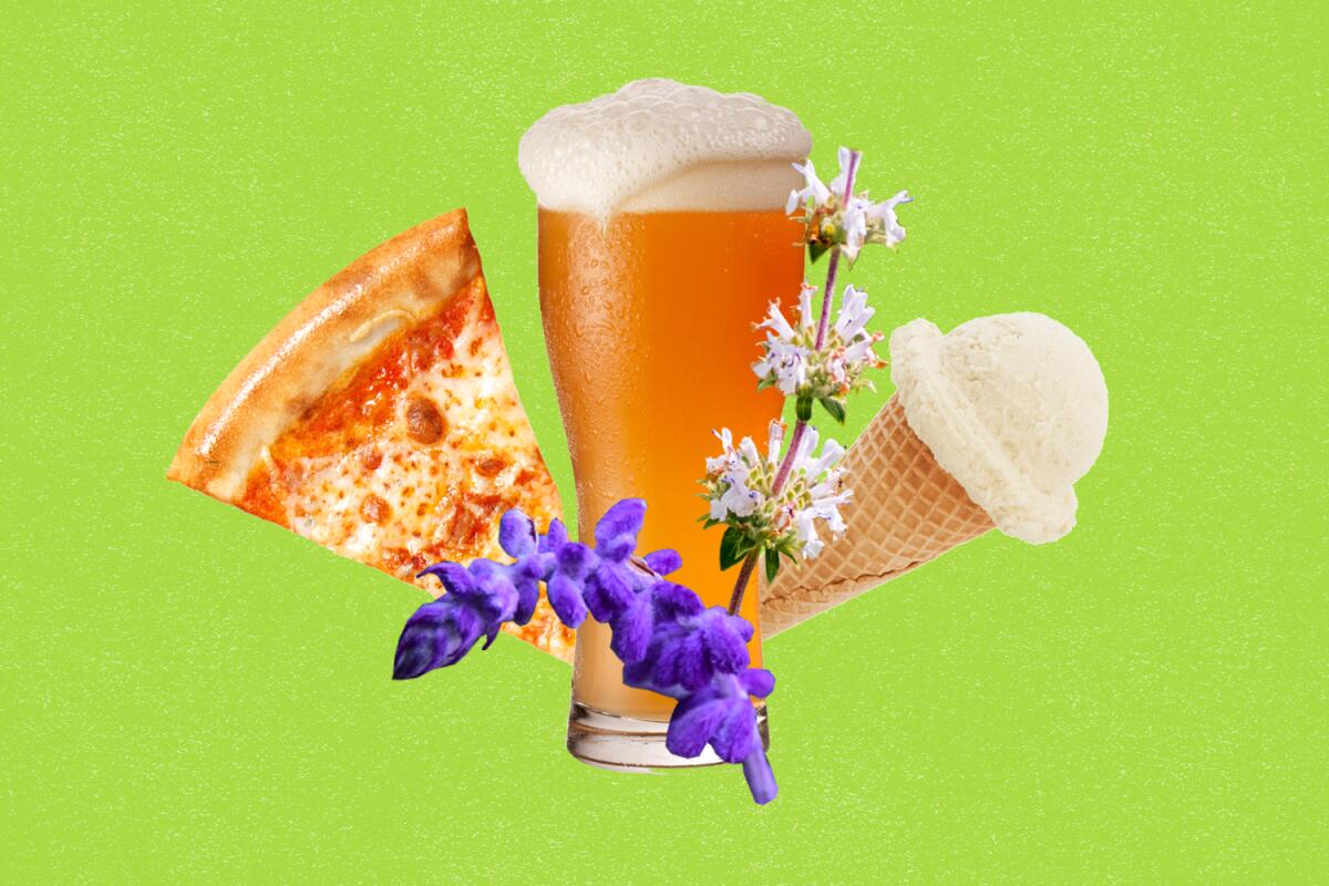 photo collage of a slice of pizza, glass of beer, ice-cream cone, woolly bluecurl and black sage plant