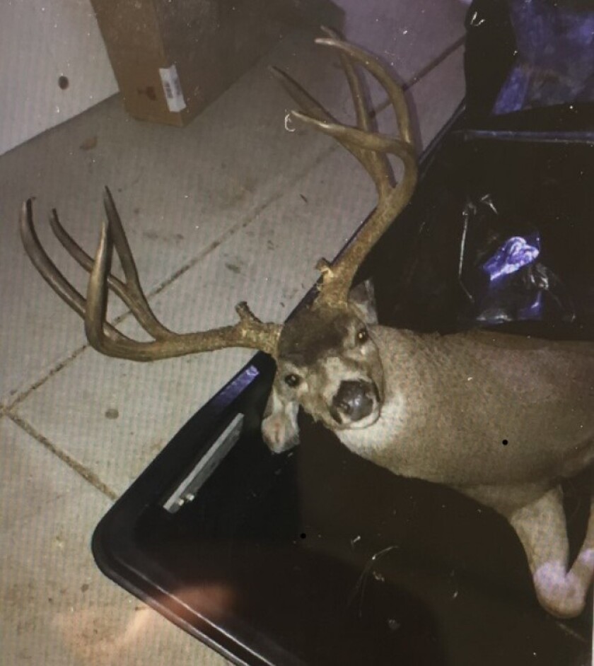 A 70-year-old-man was fined $20,000 this week after he illegally baited and shot a trophy deer on his property after the close of hunting season, authorities said.