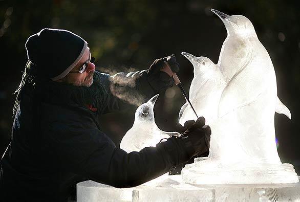 British ice sculptor Mick Fox applies the finishing touches to a penguin sculpture during London's first International Ice Sculpting Festival on the grounds of the National History Museum. The festival, whose theme is "Wildlife in the City," is a timed, international competition between five teams of ice sculptors from around the globe.