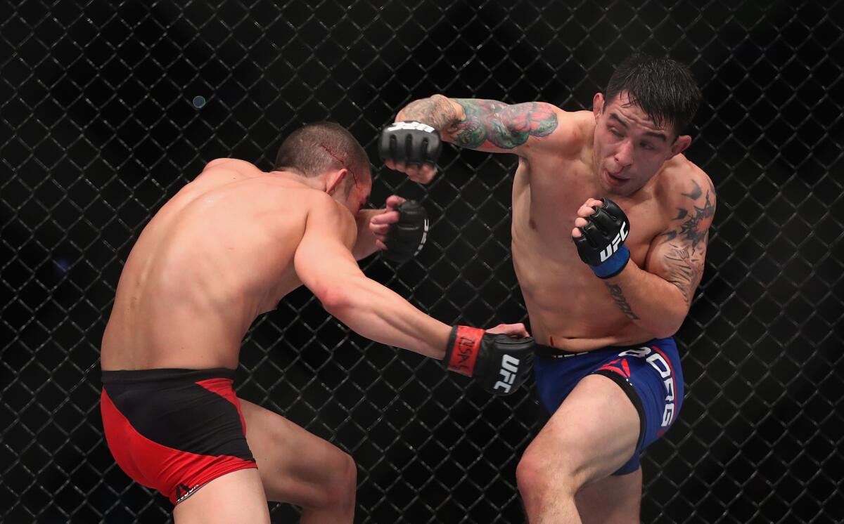 Ray Borg punches Louis Smolka during their flyweight bout at UFC 207.