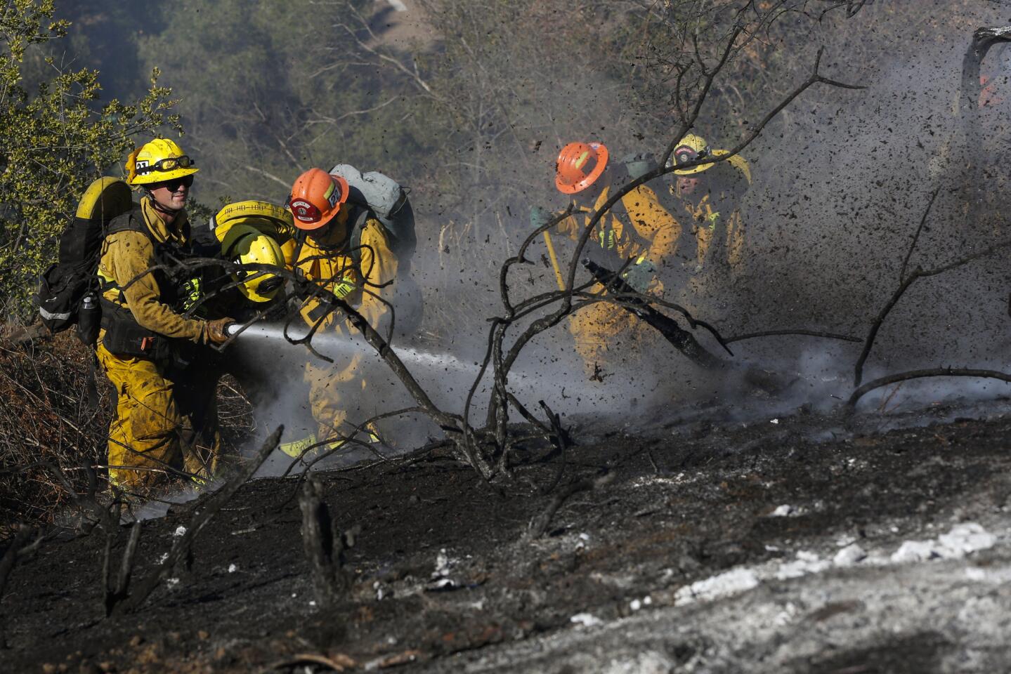 Firefighters work to extinguish a wildfire on a hillside in Griffith Park on Saturday, September 5, 2015 in Los Angeles, Calif. About 100 firefighters, assisted by water-dropping helicopters, battled the blaze and were able to douse it by 4 p.m.