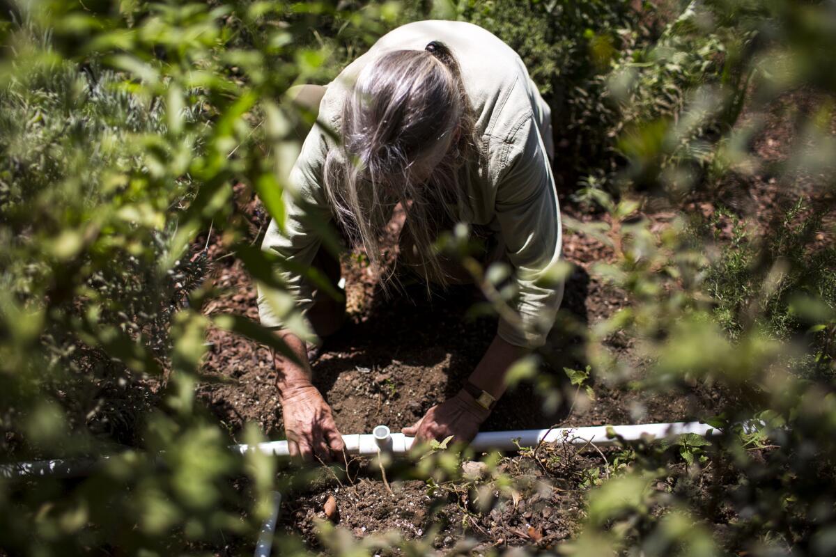 Annie Costanzo connects two pipes with a T-joint to build a gray water system.