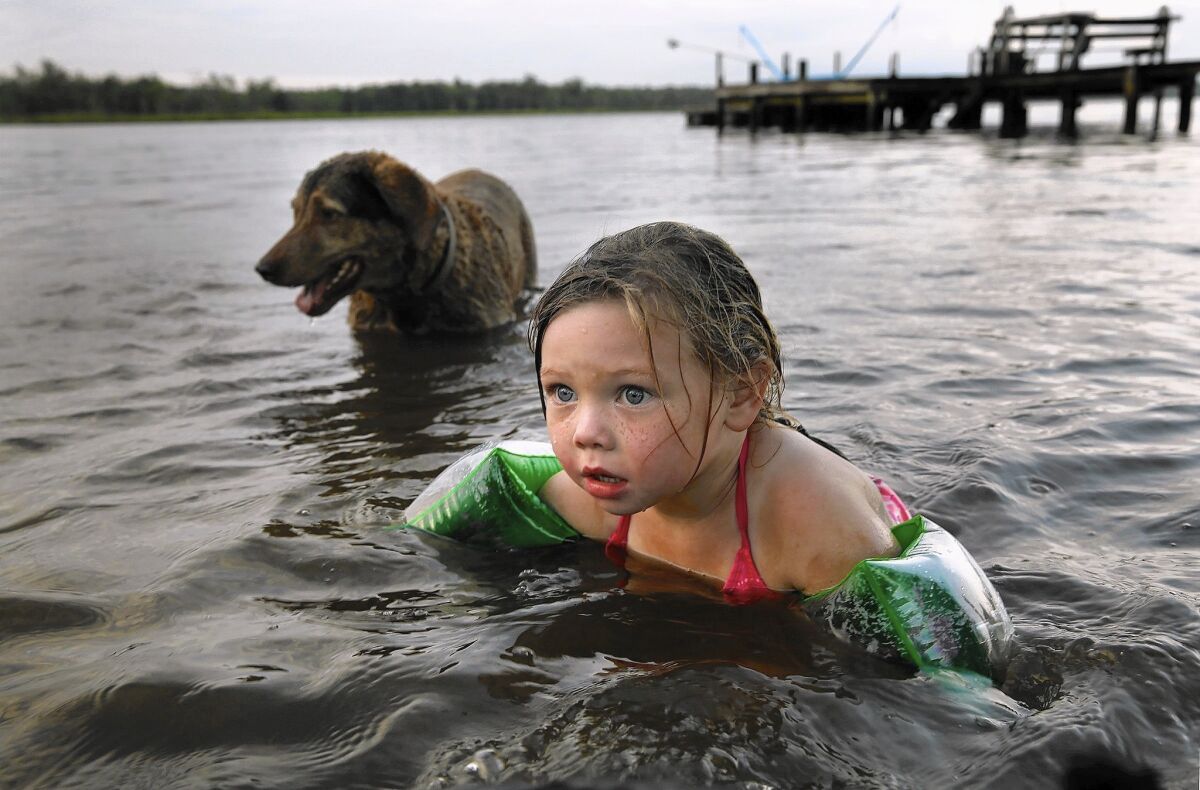 Mikayla Deacy, 4, swims with her dog Dakota in the Pamunkey River. As a member of the tribe, Mikayla will be eligible for scholarships and other benefits now that the Pamunkey have received federal recognition.