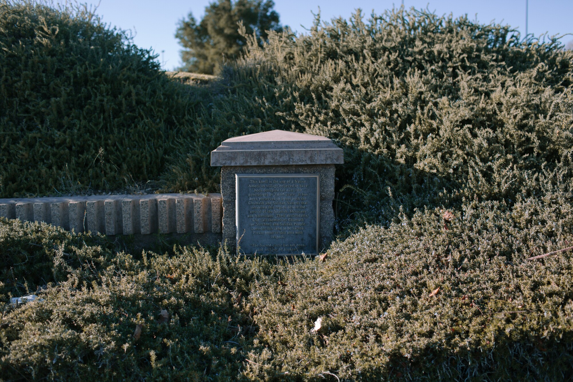A stone monument with a plaque, surrounded by green shrubbery